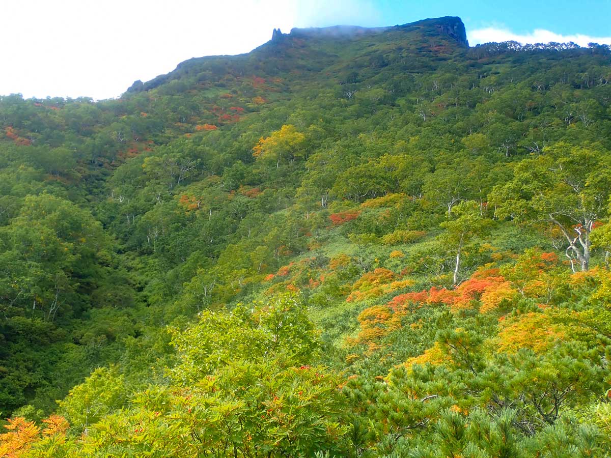 日本一早い紅葉、層雲峡にあるホテル大雪周辺の紅葉9月5日の様子