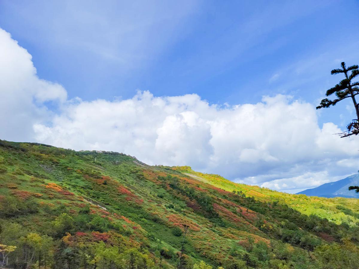 日本一早い紅葉、層雲峡にあるホテル大雪周辺の紅葉9月7日の様子