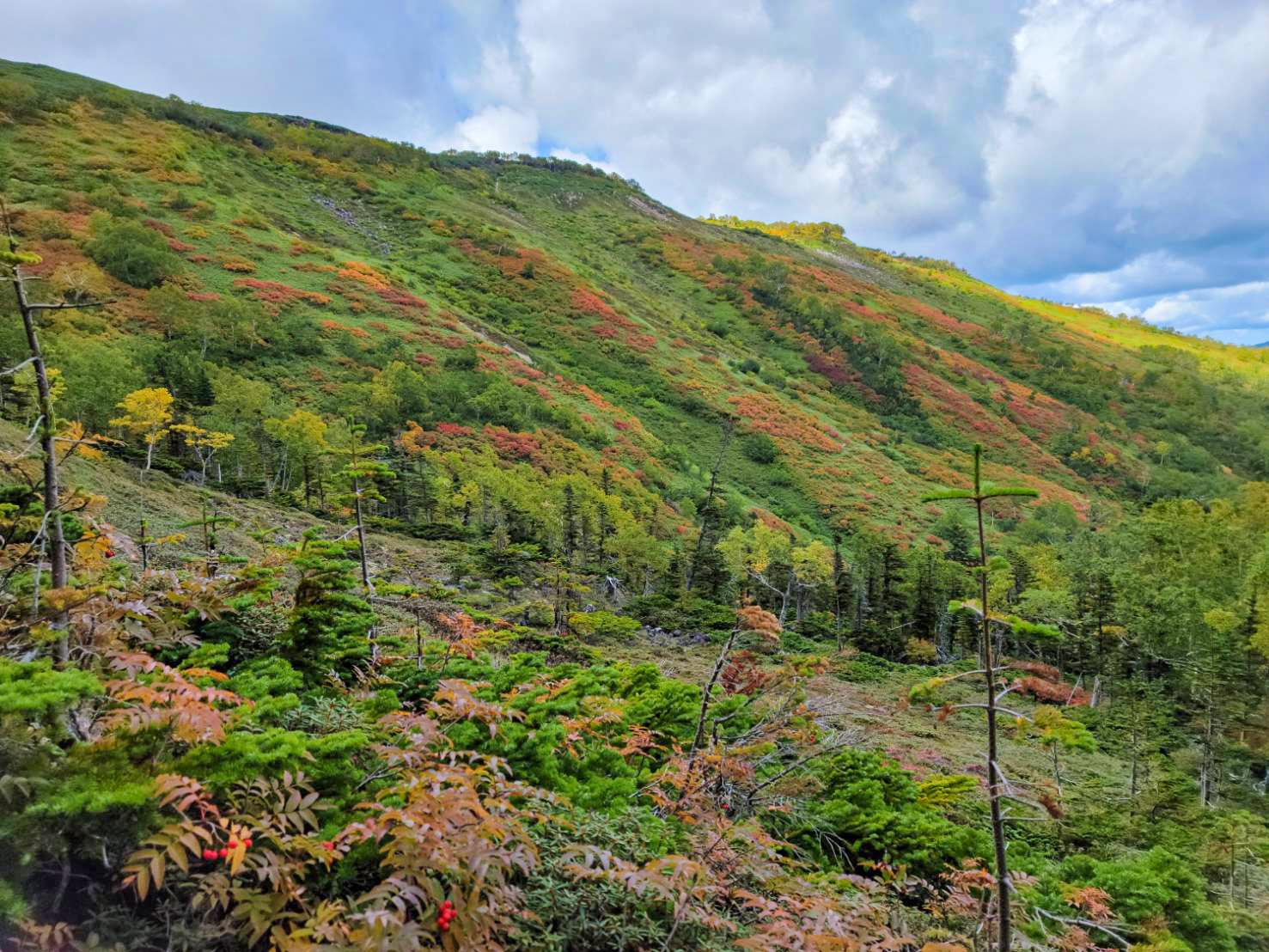 日本一早い紅葉、層雲峡にあるホテル大雪周辺の紅葉9月7日の様子