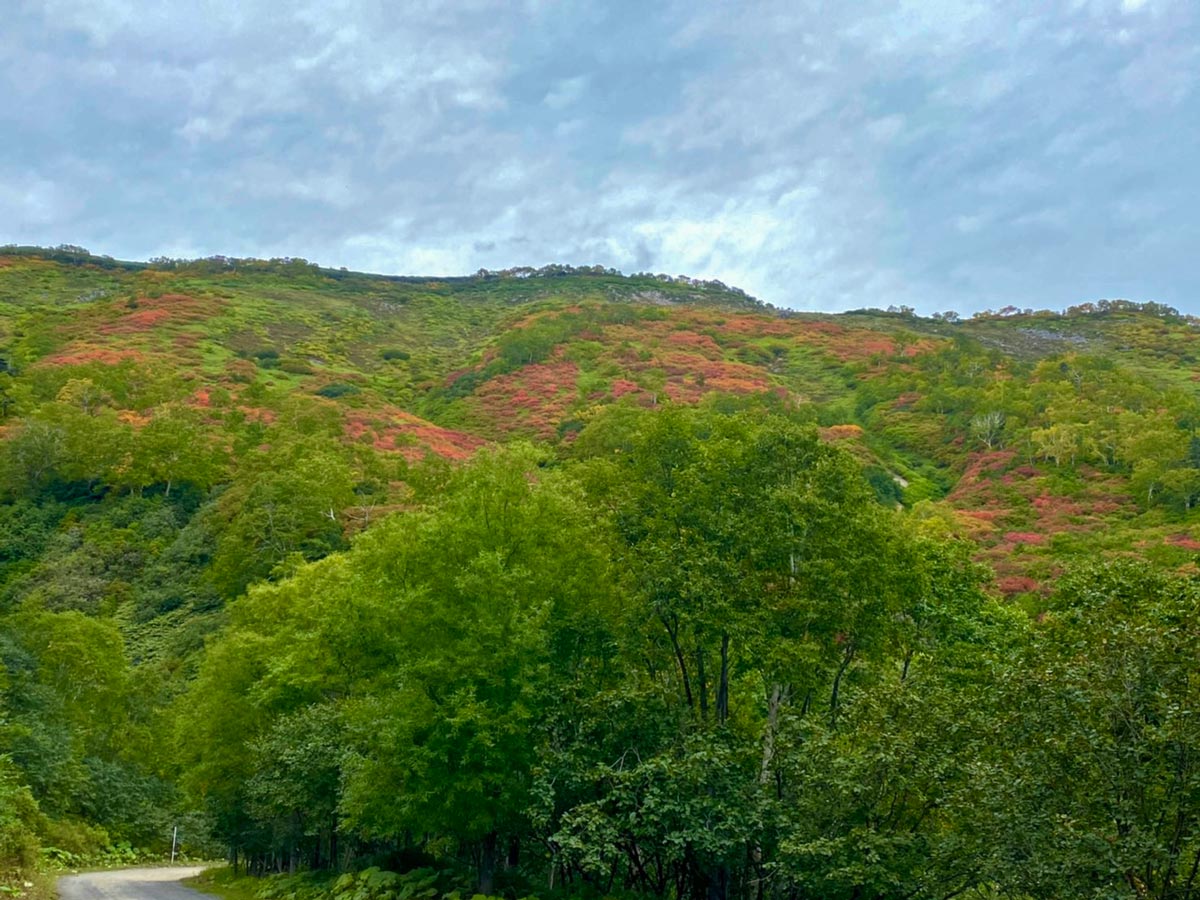 日本一早い紅葉、層雲峡にあるホテル大雪周辺の紅葉9月8日の様子