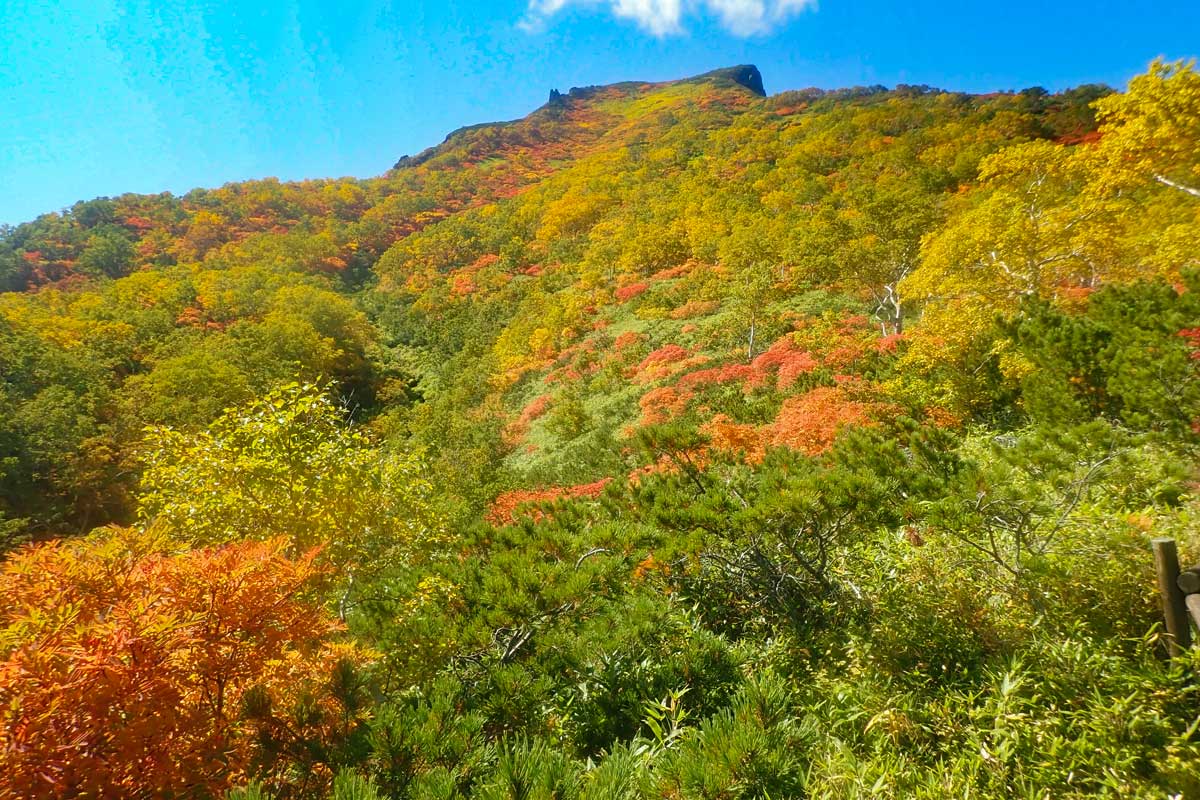 日本一早い紅葉、層雲峡にあるホテル大雪周辺の紅葉9月11日の様子