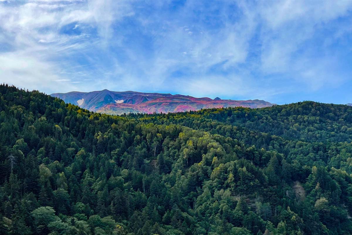 日本一早い紅葉、層雲峡にあるホテル大雪周辺の紅葉9月14日の様子