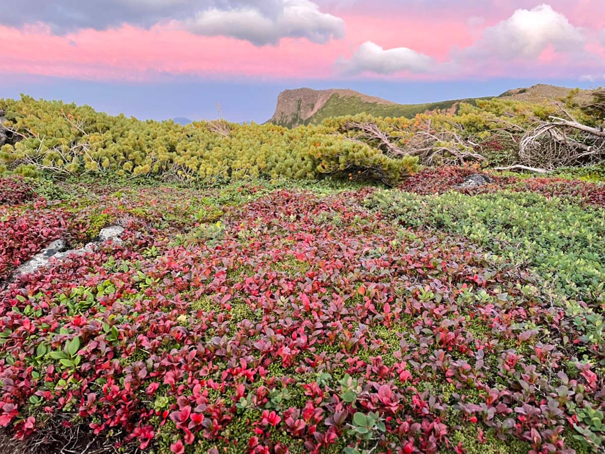 日本一早い紅葉 北海道 層雲峡 ホテル大雪周辺の紅葉8月31日