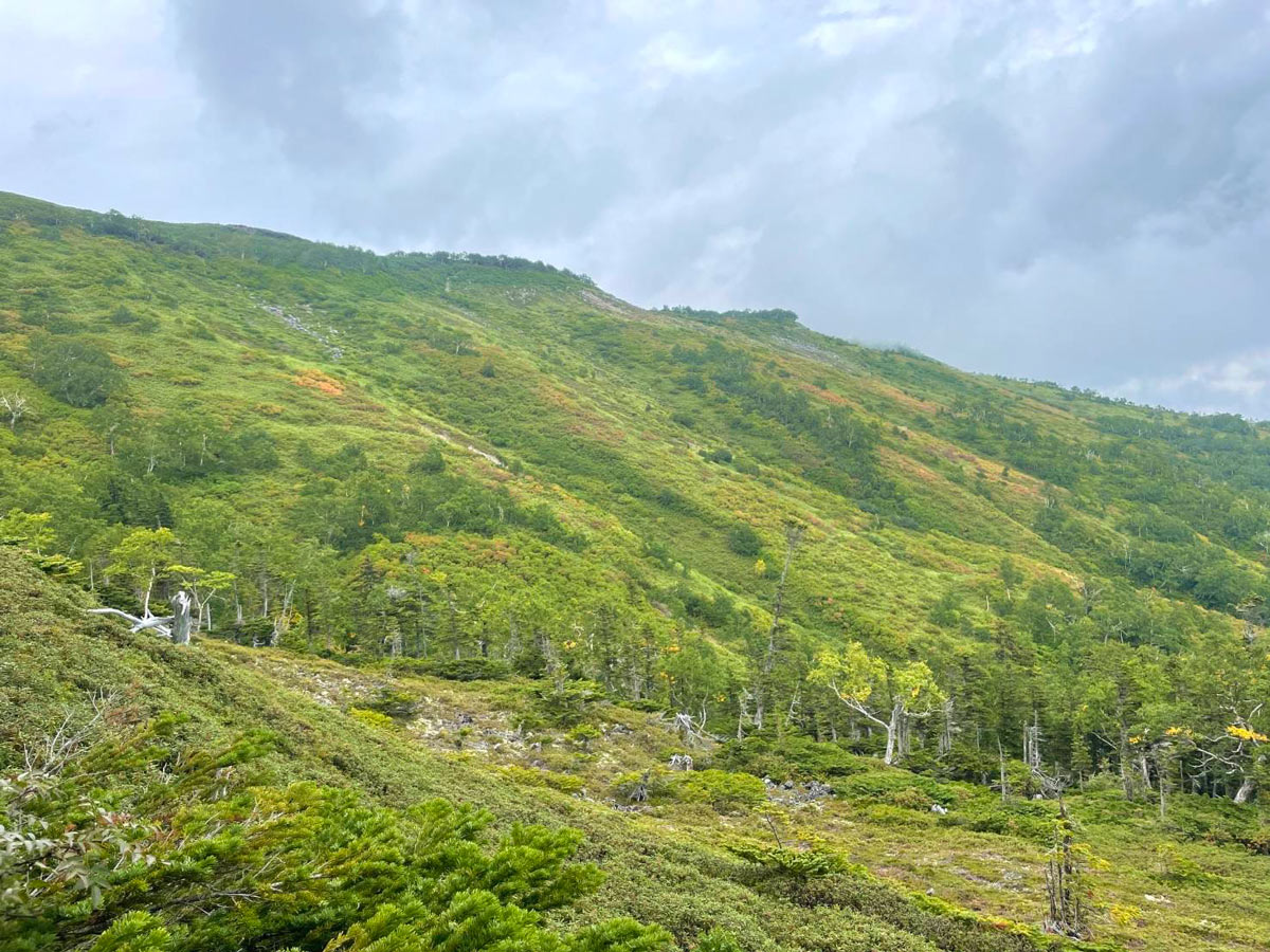 日本一早い紅葉 北海道 層雲峡 ホテル大雪周辺の紅葉8月31日