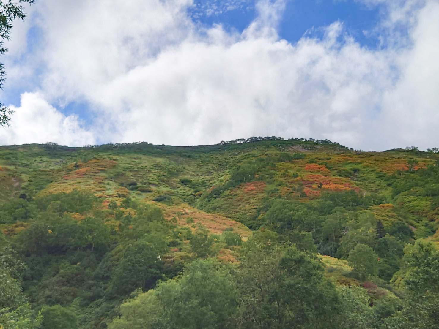 日本一早い紅葉 北海道 層雲峡 ホテル大雪周辺の紅葉9月1日