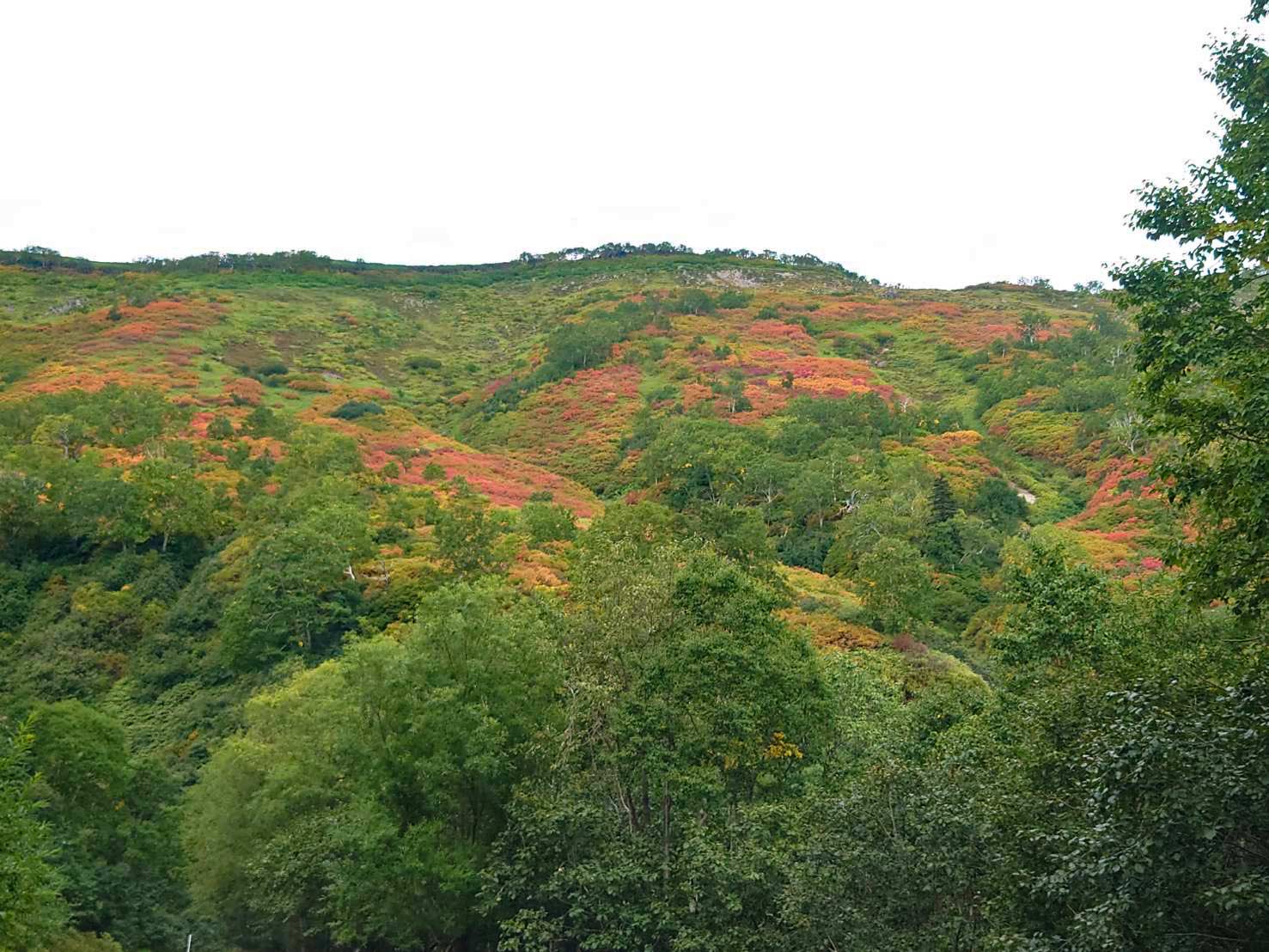 日本一早い紅葉 北海道 層雲峡 ホテル大雪周辺の紅葉9月6日
