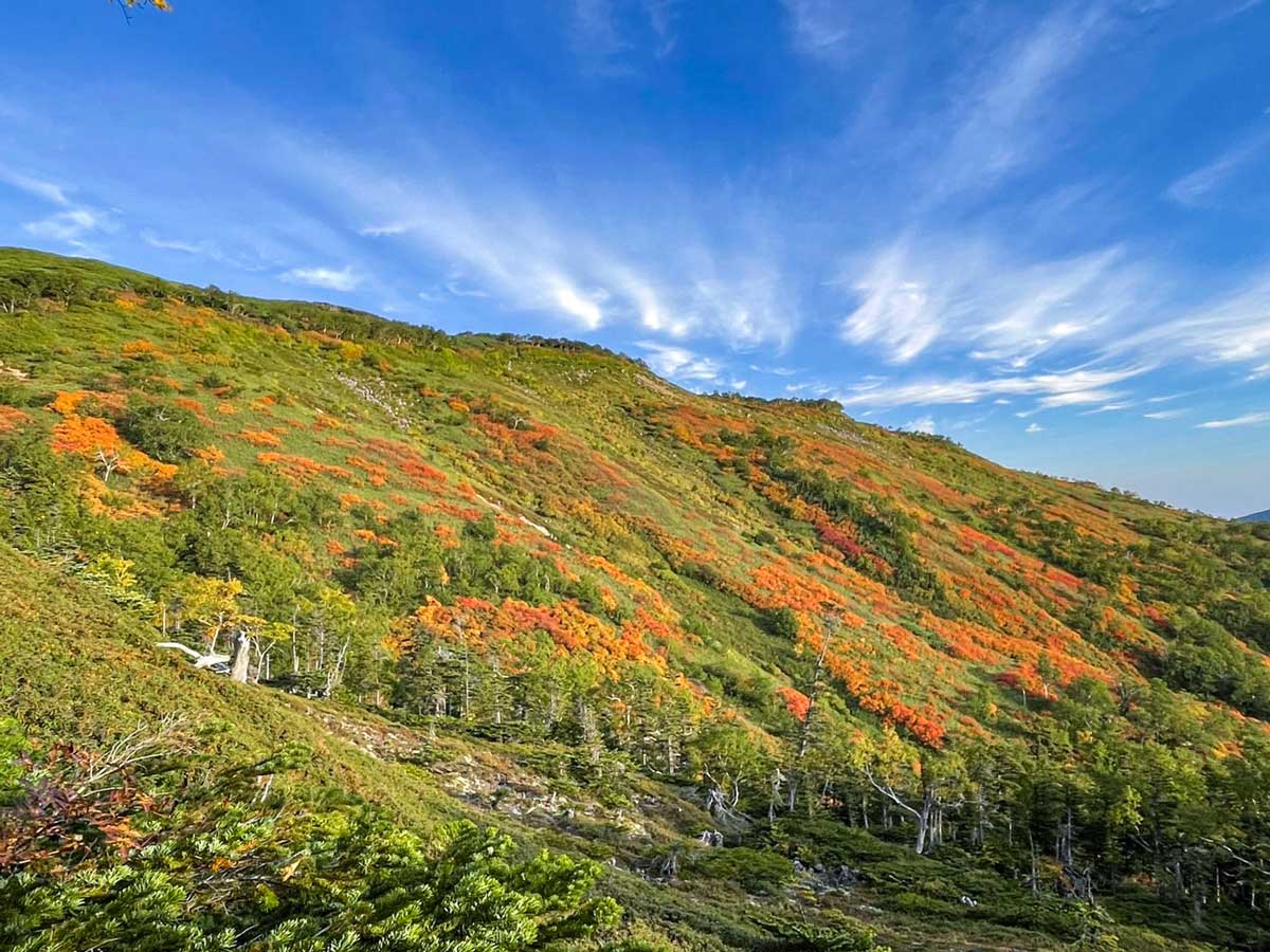 日本一早い紅葉 北海道 層雲峡 ホテル大雪周辺の紅葉9月7日