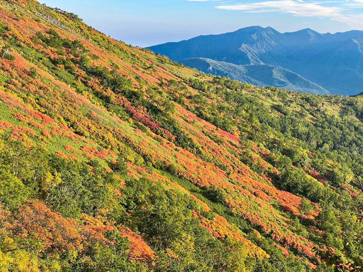 日本一早い紅葉 北海道 層雲峡 ホテル大雪周辺の紅葉9月6日