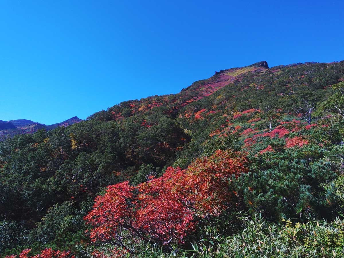 日本一早い紅葉 北海道 層雲峡 ホテル大雪周辺の紅葉9月8日