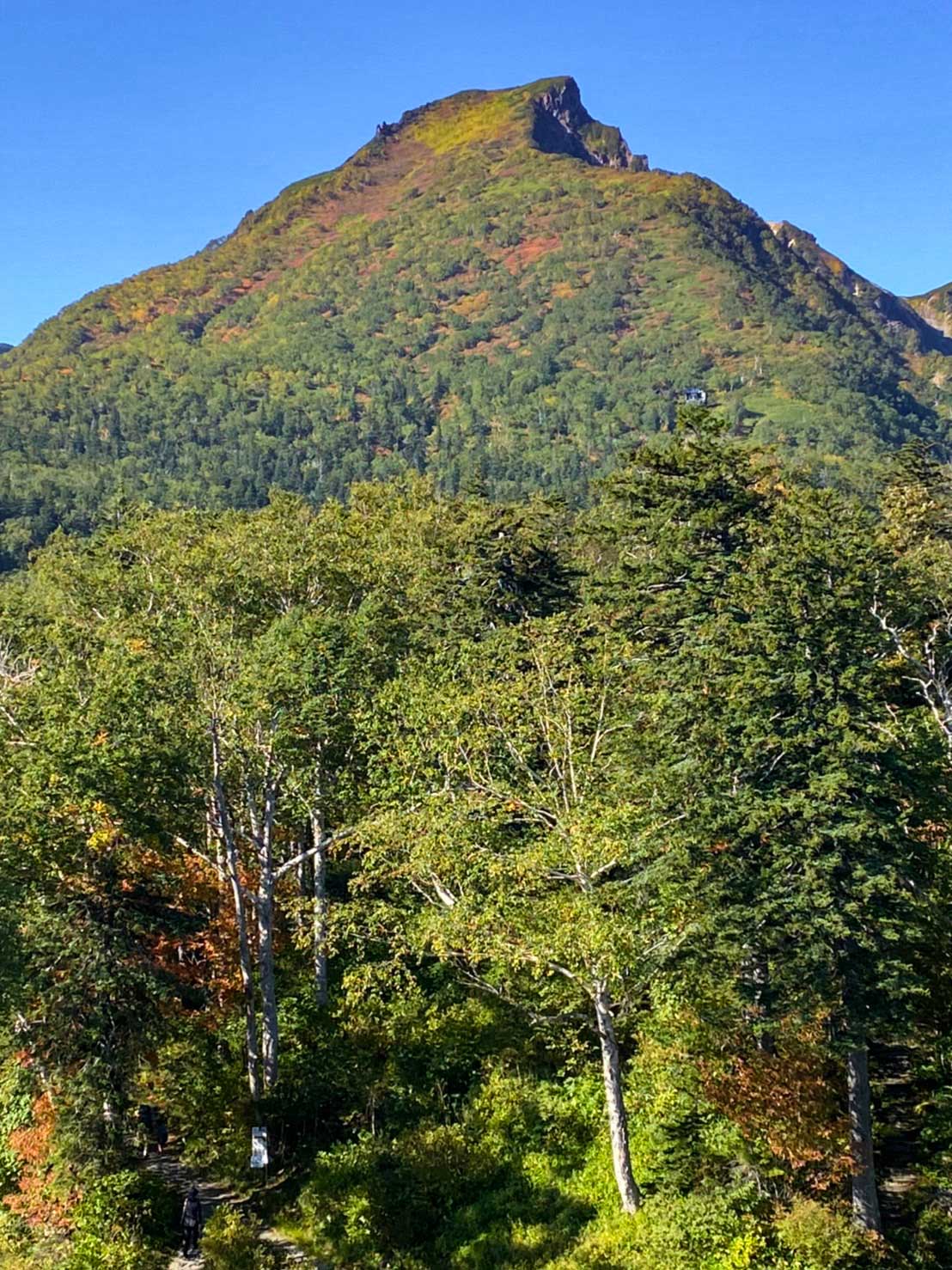日本一早い紅葉 北海道 層雲峡 ホテル大雪周辺の紅葉9月10日