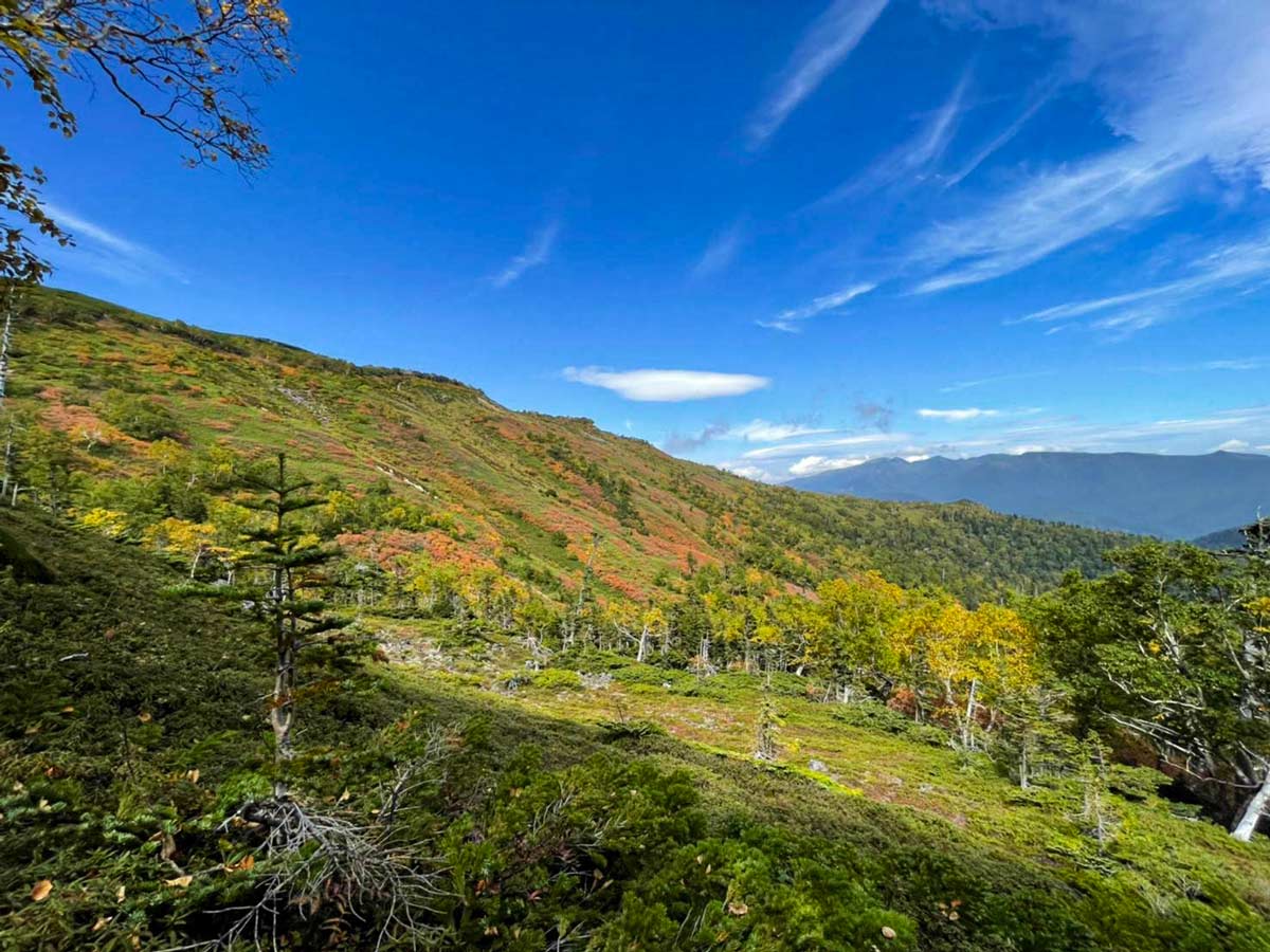 日本一早い紅葉 北海道 層雲峡 ホテル大雪周辺の紅葉9月14日