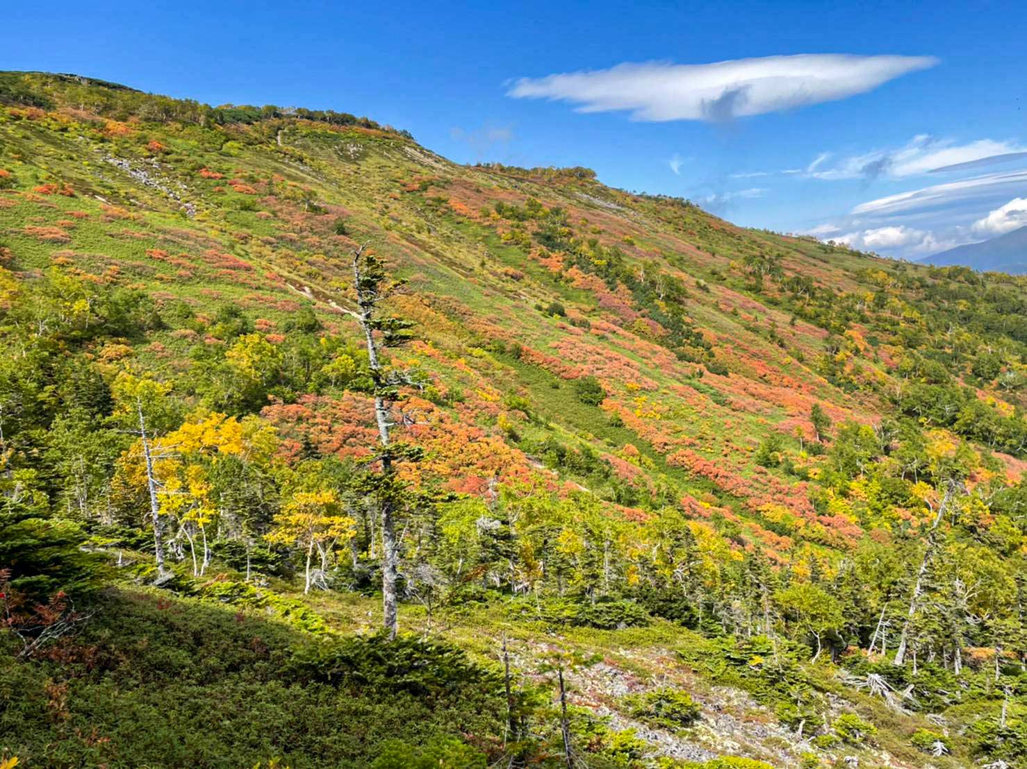 日本一早い紅葉 北海道 層雲峡 ホテル大雪周辺の紅葉9月14日