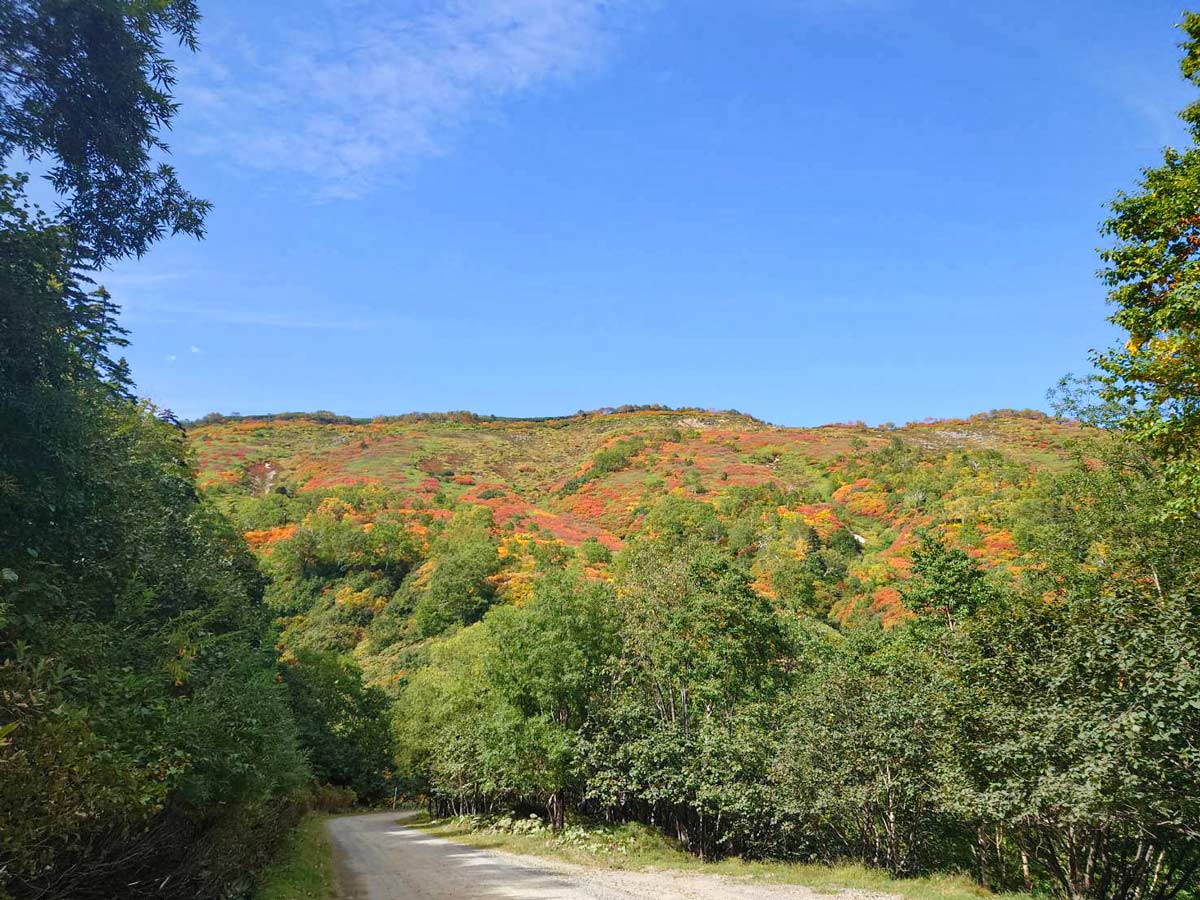 日本一早い紅葉 北海道 層雲峡 ホテル大雪周辺の紅葉9月14日