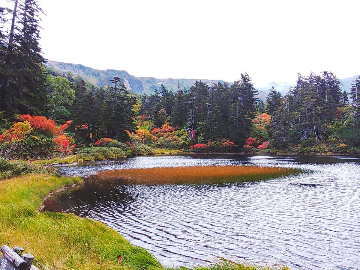 日本一早い紅葉 北海道 層雲峡 ホテル大雪周辺の紅葉9月15日