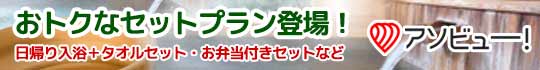 お得なセットプラン