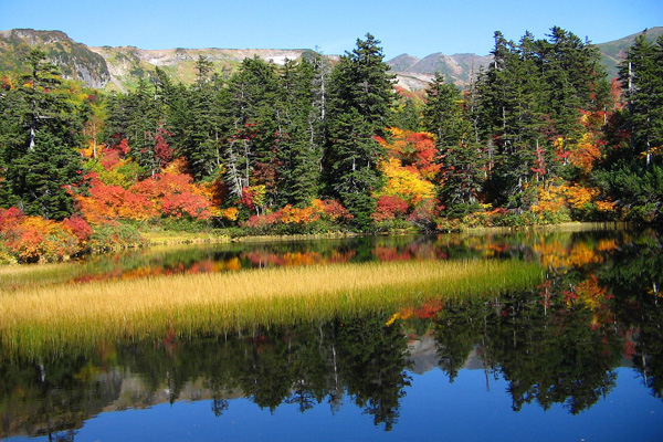 紅葉情報21 層雲峡ホテル大雪スタッフの紅葉情報
