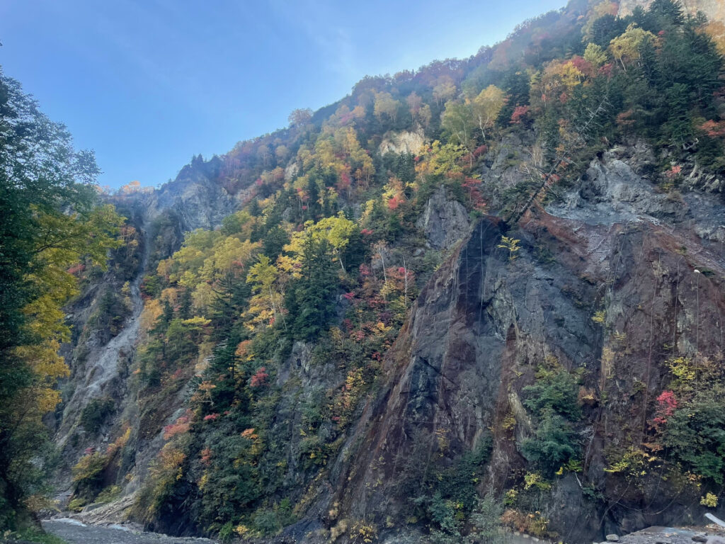 北海道上川層雲峡・ホテル大雪のスタッフによる日本一早い紅葉情報