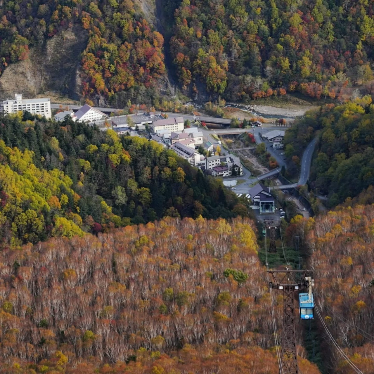 北海道上川層雲峡・ホテル大雪のスタッフによる日本一早い紅葉情報