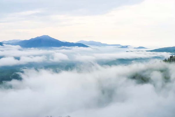黒岳の雲海